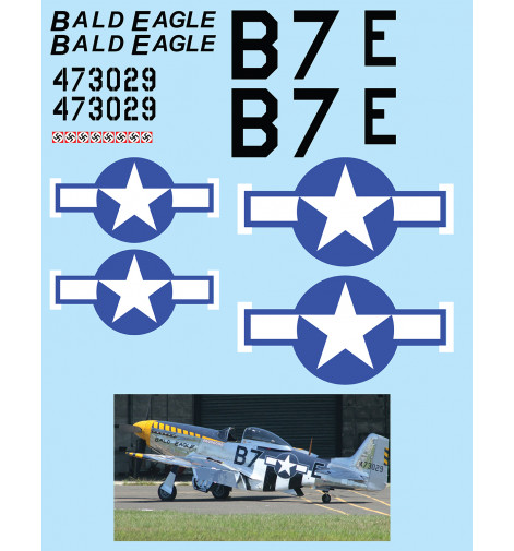 P-51 Mustang "Bald Eagle" Vinyl Graphics