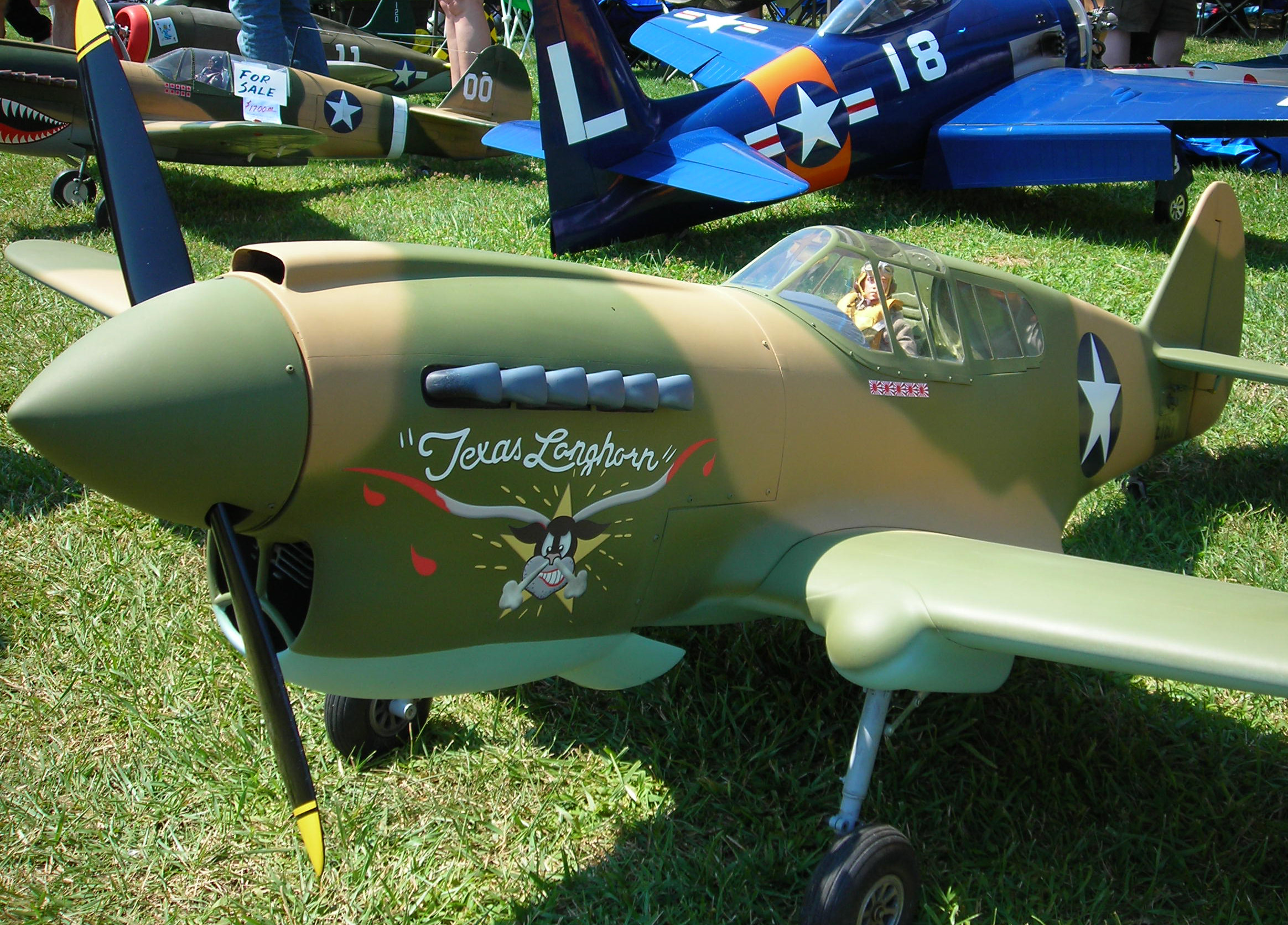 P-40 Warhawk 'Texas Longhorn' Vinyl Graphics