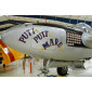 P-38 "Put Put Maru" Vinyl Graphics