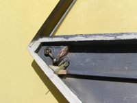 Staggerwing Photo Pack