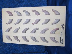 Vailly Typhoon/Tempest Exhaust Stacks