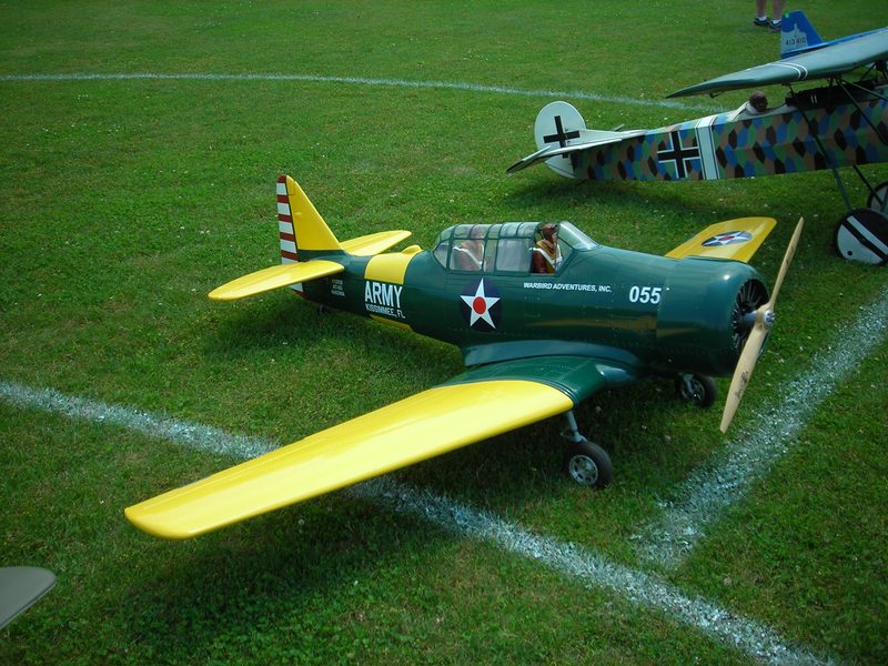 AT-6 Texan (Green and Yellow USAAF) Vinyl Graphics