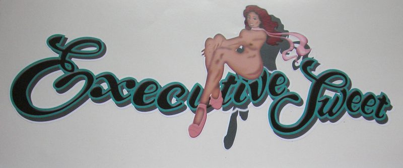 B-25 US Army Air Force Vinyl Graphics 'Executive Suite' (green lettering, aluminum fuse)