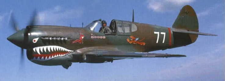 P-40 Warhawk Vinyl Graphics