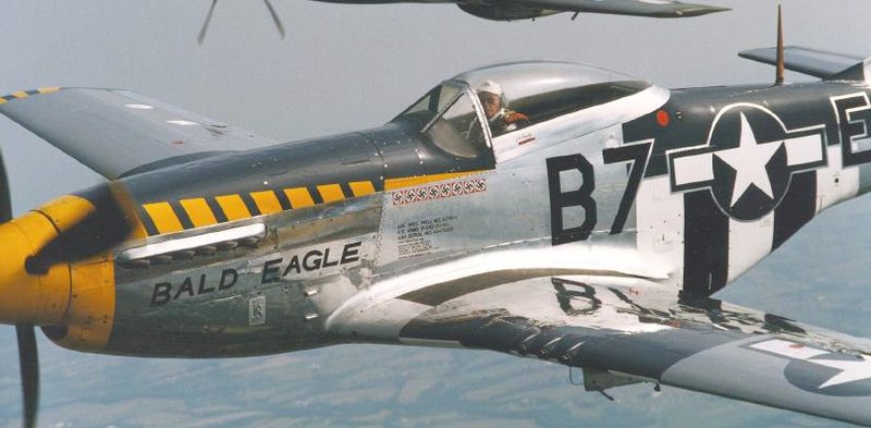 P-51 Mustang "Bald Eagle" Vinyl Graphics