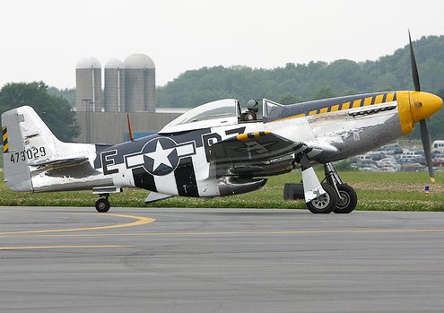 P-51 Mustang "Bald Eagle" Vinyl Graphics