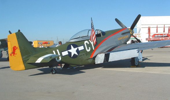 P-51 Mustang "Gunfighter" Vinyl Graphics