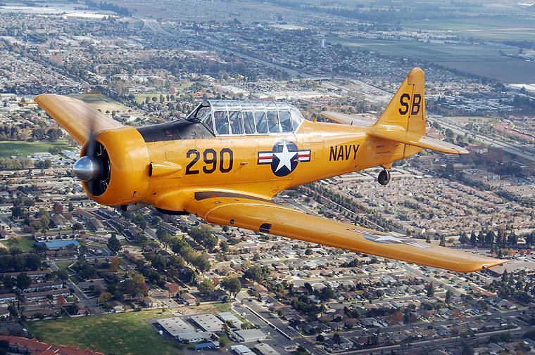 SNJ Yellow Navy Vinyl Graphics