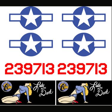 P-61 "Lady In The Dark" Vinyl Graphics