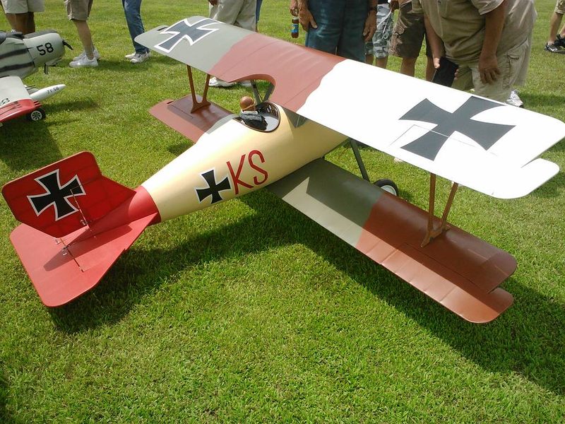 Sterner 1/3 Scale Siemens Schuckert SSW D.III Plan